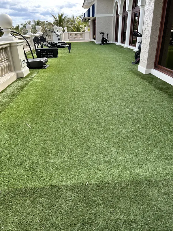 Pet-friendly backyard